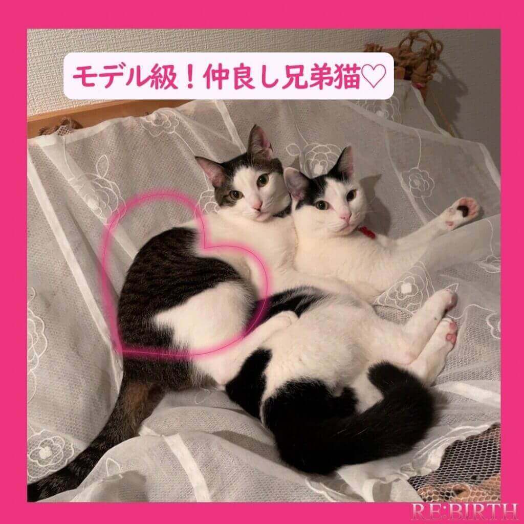 奈良市学園前にある完全予約制自宅エステ