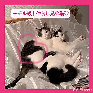 奈良市学園前にある完全予約制自宅エステ