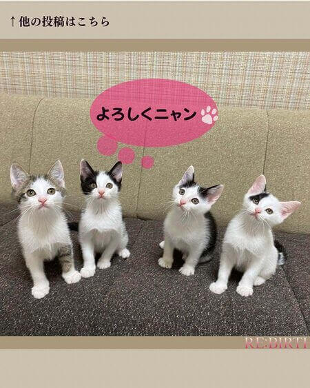 奈良市学園前にある完全予約制自宅エステ