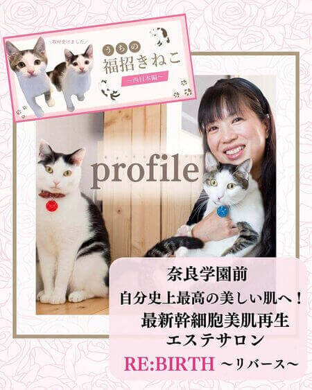 プロフィール