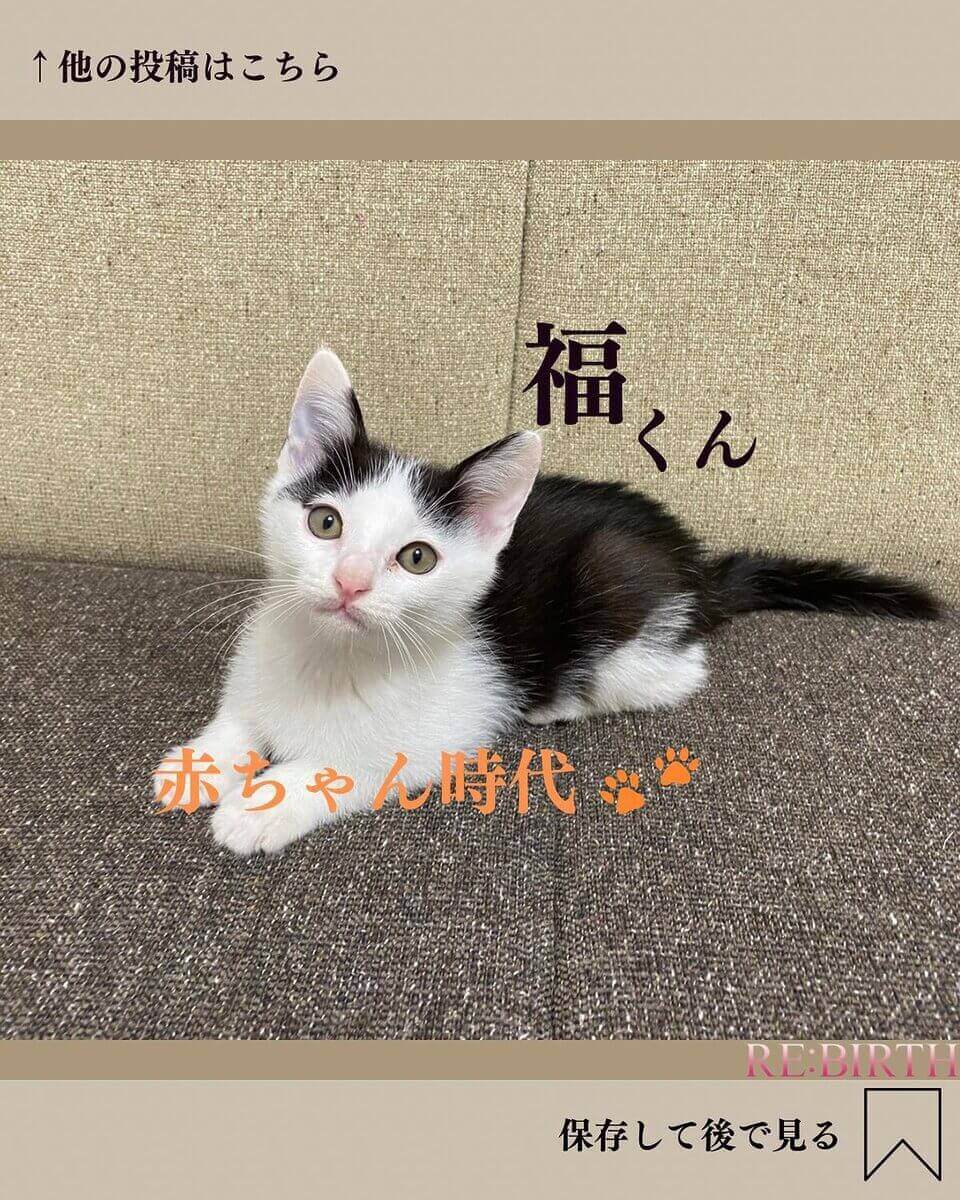 「赤ちゃん時代の福と神」